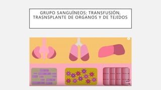 GRUPO SANGUÍNEOS; TRANSFUSIÓN,
TRASNSPLANTE DE ORGANOS Y DE TEJIDOS
 