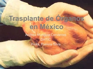 Andrea Munguía Cervantes
DHTIC
Profa. Patricia Silva
Trasplante de Órganos
en México
 