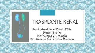 TRASPLANTE RENAL
María Guadalupe Zenea Félix
Grupo: 6to ‘A’
Nefrología y Urología
Dr. Ricardo Buenrostro Miranda
 