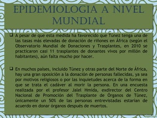 EPIDEMIOLOGIA A NIVEL
MUNDIAL
 A pesar de que esta medida ha favorecido que Túnez tenga una de
las tasas más elevadas de donación de riñones en África (según el
Observatorio Mundial de Donaciones y Trasplantes, en 2010 se
practicaron casi 11 trasplantes de donantes vivos por millón de
habitantes), aún falta mucho por hacer.
 En muchos países, incluido Túnez y otras parte del Norte de África,
hay una gran oposición a la donación de personas fallecidas, ya sea
por motivos religiosos o por las inquietudes acerca de la forma en
que se trata el cadáver al morir la persona. En una encuesta
realizada por el profesor Jalel Hmida, exdirector del Centro
Nacional de Promoción del Trasplante de Órganos de Túnez,
únicamente un 50% de las personas entrevistadas estarían de
acuerdo en donar órganos después de muertos.
 