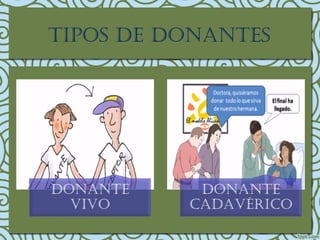 tIpos de donantes
 