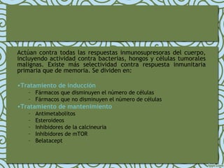Actúan contra todas las respuestas inmunosupresoras del cuerpo,
incluyendo actividad contra bacterias, hongos y células tumorales
malignas. Existe más selectividad contra respuesta inmunitaria
primaria que de memoria. Se dividen en:
•Tratamiento de inducción
– Fármacos que disminuyen el número de células
– Fármacos que no disminuyen el número de células
•Tratamiento de mantenimiento
– Antimetabolitos
– Esteroideos
– Inhibidores de la calcineuria
– Inhibidores de mTOR
– Belatacept
 