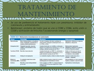trataMiento de
ManteniMiento
• Se usa de preferencia el tratamiento triple con prednisona, inhibidor de
calcineuria y antimetabolito
• Belatacept, proteína de fusión que se une a CD80 y CD86, evita unión a
CD28 y activación de linfocitos T ocasionando anergia y apoptosis
 