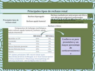 Principales tipos de
rechazo renal
Rechazo hiperagudo
Rechazo mediado por anticuerpos anti-HLA o
anti-AB (grupo sanguíneo) preformados.
Rechazo agudo humoral
Rechazo agudo humoral (RAH)
Rechazo agudo túbulo-intersticial (RATI)
Rechazo crónico
Principales tipos de rechazo renal
Conlleva un peor
pronóstico y un
mayor porcentaje
de
corticorresistenci
a
 