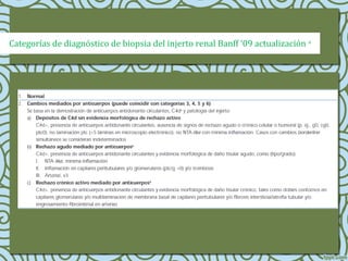 Categorías de diagnóstico de biopsia del injerto renal Banff ‘09 actualización a
 