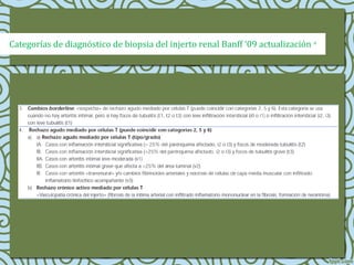 Categorías de diagnóstico de biopsia del injerto renal Banff ‘09 actualización a
 