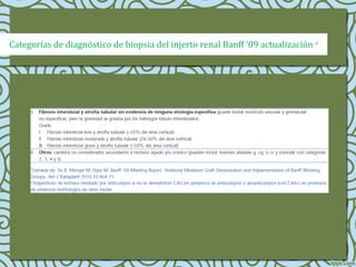 Categorías de diagnóstico de biopsia del injerto renal Banff ‘09 actualización a
 