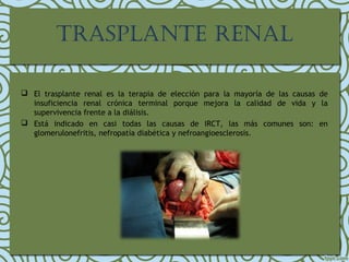 TRASPLANTE RENAL
 El trasplante renal es la terapia de elección para la mayoría de las causas de
insuficiencia renal crónica terminal porque mejora la calidad de vida y la
supervivencia frente a la diálisis.
 Está indicado en casi todas las causas de IRCT, las más comunes son: en
glomerulonefritis, nefropatía diabética y nefroangioesclerosis.
 