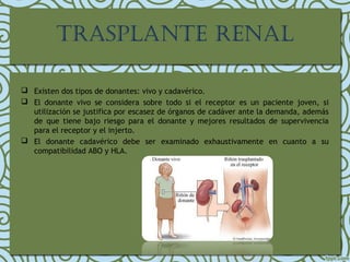 TRASPLANTE RENAL
 Existen dos tipos de donantes: vivo y cadavérico.
 El donante vivo se considera sobre todo si el receptor es un paciente joven, si
utilización se justifica por escasez de órganos de cadáver ante la demanda, además
de que tiene bajo riesgo para el donante y mejores resultados de supervivencia
para el receptor y el injerto.
 El donante cadavérico debe ser examinado exhaustivamente en cuanto a su
compatibilidad ABO y HLA.
 