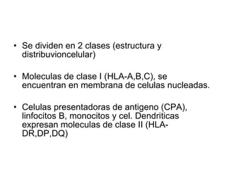 Se dividen en 2 clases (estructura y distribuvioncelular) Moleculas de clase I (HLA-A,B,C), se encuentran en membrana de celulas nucleadas. Celulas presentadoras de antigeno (CPA), linfocitos B, monocitos y cel. Dendriticas expresan moleculas de clase II (HLA-DR,DP,DQ) 