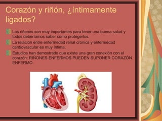 Corazón y riñón, ¿íntimamente
ligados?
Los riñones son muy importantes para tener una buena salud y
todos deberíamos saber como protegerlos.
La relación entre enfermedad renal crónica y enfermedad
cardiovascular es muy íntima.
Estudios han demostrado que existe una gran conexión con el
corazón: RIÑONES ENFERMOS PUEDEN SUPONER CORAZÓN
ENFERMO.

 