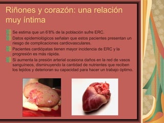 Riñones y corazón: una relación
muy íntima
Se estima que un 6’8% de la población sufre ERC.
Datos epidemiológicos señalan que estos pacientes presentan un
riesgo de complicaciones cardiovasculares.
Pacientes cardiópatas tienen mayor incidencia de ERC y la
progresión es más rápida.
Si aumenta la presión arterial ocasiona daños en la red de vasos
sanguíneos, disminuyendo la cantidad de nutrientes que reciben
los tejidos y deterioran su capacidad para hacer un trabajo óptimo.

 