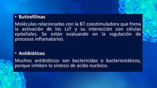 • Butirofilinas
Moléculas relacionadas con la B7 coestimuladora que frena
la activación de los LsT y su interacción con células
epiteliales. Se están evaluando en la regulación de
procesos inflamatorios.
• Antibióticos
Muchos antibióticos son bactericidas o bacteriostáticos,
porque inhiben la síntesis de ácido nucleico.
 