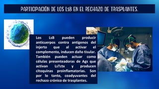 PARTICIPACIÓN DE LOS LsB EN EL RECHAZO DE TRASPLANTES.
• Los LsB pueden producir
anticuerpos contra antígenos del
injerto que al activar el
complemento, inducen daño tisular.
• También pueden actuar como
células presenteadoras de Ags que
activan LsTctx y producen
citoquinas proinflamatorias. Son
por lo tanto, coadyuvantes del
rechazo crónico de trasplantes.
 