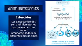 Antinflamatorios
Esteroides
Los glucocorticoides
son antinflamatorios
porque ejercen una
acción
inmunoreguladora de
diferentes mecanismos
 