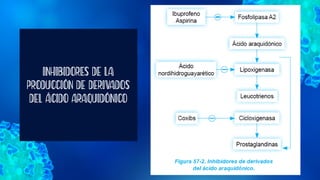 INHIBIDORES DE LA
PRODUCCIÓN DE DERIVADOS
DEL ÁCIDO ARAQUIDÓNICO
 