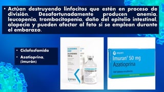 • Actúan destruyendo linfocitos que estén en proceso de
división. Desafortunadamente producen anemia,
leucopenia, trombocitopenia, daño del epitelio intestinal,
alopecia y pueden afectar al feto si se emplean durante
el embarazo.
• Ciclofosfamida
• Azatioprina,
(imurán)
 