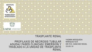 TRASPLANTE RENAL
PROFILAXIS DE NECROSIS TUBULAR
AGUDA// FASES CLINICAS// EMERSION Y
TRASLADO A LA UNIDAD DE TRASPLANTE
RENAL
YAZMIN MOSQUEDA
MARQUEZ R2A
DR FCO. SANCHEZ ROGEL
20.09.18
 