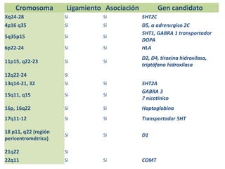 Cromosoma Ligamiento Asociación Gen candidato
Xq24-28 Sí Sí 5HT2C
4p16 q35 Sí Sí D5, α adrenιrgico 2C
5q35p15 Sí Sí
5HT1, GABRA 1 transportador
DOPA
6p22-24 Sí Sí HLA
11p15, q22-23 Sí Sí
D2, D4, tiroxina hidroxilasa,
triptófano hidroxilasa
12q22-24 Sí
13q14-21, 32 Sí Sí 5HT2A
15q11, q15 Sí Sí
GABRA 3
7 nicotínico
16p, 16q22 Sí Sí Haptoglobina
17q11-12 Sí Sí Transportador 5HT
18 p11, q22 (región
pericentrométrica)
Sí Sí D1
21q22 Sí
22q11 Sí Sí COMT
 