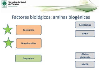 Factores biológicos: aminas biogénicas
Serotonina
Noradrenalina
Acetilcolina
GABA
Glicina
glutamato
NMDA
Dopamina
 