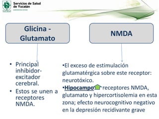 • Principal
inhibidor-
excitador
cerebral.
• Estos se unen a
receptores
NMDA.
Glicina -
Glutamato
NMDA
•El exceso de estimulación
glutamatérgica sobre este receptor:
neurotóxico.
•Hipocampo: receptores NMDA,
glutamato y hipercortisolemia en esta
zona; efecto neurocognitivo negativo
en la depresión recidivante grave
 