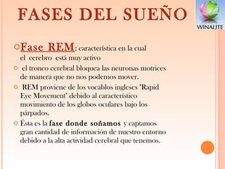 FASES DEL SUEÑO Fase REM : característica en la cual el cerebro está muy activo el tronco cerebral bloquea las neuronas motrices de manera que no nos podemos mover. REM proviene de los vocablos ingleses "Rapid Eye Movement" debido al característico movimiento de los globos oculares bajo los párpados.  Ésta es la  fase donde soñamos  y captamos gran cantidad de información de nuestro entorno debido a la alta actividad cerebral que tenemos. 