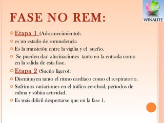 FASE NO REM: Etapa 1   (Adormecimiento): es un estado de somnolencia  Es la transición entre la vigilia y el sueño. Se pueden dar alucinaciones tanto en la entrada como en la salida de esta fase.  Etapa 2   (Sueño ligero):  Disminuyen tanto el ritmo cardíaco como el respiratorio.  Sufrimos variaciones en el tráfico cerebral, períodos de calma y súbita actividad.  Es más difícil despertarse que en la fase 1.  