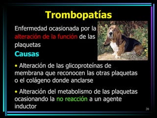 Enfermedad ocasionada por la  alteración de la función  de las plaquetas Trombopatías Causas Alteración de las glicoproteínas de membrana que reconocen las otras plaquetas o el colágeno donde anclarse Alteración del metabolismo de las plaquetas ocasionando la  no reacción  a un agente inductor 