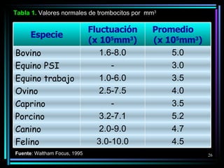 Tabla  1.  Valores normales de trombocitos por  mm 3 Fuente : Waltham Focus, 1995 Especie Fluctuación (x 10 5 mm 3 ) Promedio  (x 10 5 mm 3 ) Bovino 1.6-8.0 5.0 Equino PSI - 3.0 Equino trabajo 1.0-6.0 3.5 Ovino 2.5-7.5 4.0 Caprino - 3.5 Porcino 3.2-7.1 5.2 Canino 2.0-9.0 4.7 Felino 3.0-10.0 4.5 