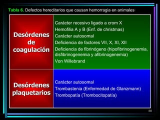 Tabla  6 .  Defectos hereditarios que causan hemorragia en animales Desórdenes de coagulación Carácter recesivo ligado a crom X Hemofilia A y B (Enf .  de christmas) Carácter autosomal Deficiencia de factores VII, X, XI, XII Deficiencia de fibrinógeno (hipofibrinogenemia, disfibrinogenemia y afibrinogenemia) Von Willebrand Desórdenes plaquetarios Carácter autosomal Trombastenia (Enfermedad de Glanzmann) Trombopatía (Trombocitopatía) 