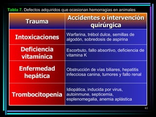 Tabla  7 .  Defectos adquiridos que ocasionan hemorragias en animales Trauma Accidentes o intervención quirúrgica Intoxicaciones Warfarina, trébol dulce, semillas de algodón, sobredosis de aspirina Deficiencia vitamínica Escorbuto, fallo absortivo, deficiencia de vitamina K Enfermedad hepática Obstrucción de vías biliares, hepatitis infecciosa canina, tumores y fallo renal Trombocitopenia Idiopática, inducida por virus, autoinmune, septicemia, esplenomegalia, anemia aplástica 
