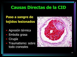 Causas Directas de la CID Paso a sangre de tejidos lesionados Agresión térmica Embolia grasa Cirugía Traumatismo: sobre todo craneales 