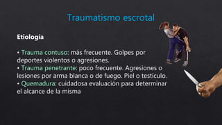 Etiología
• Trauma contuso: más frecuente. Golpes por
deportes violentos o agresiones.
• Trauma penetrante: poco frecuente. Agresiones o
lesiones por arma blanca o de fuego. Piel o testículo.
• Quemadura: cuidadosa evaluación para determinar
el alcance de la misma
 