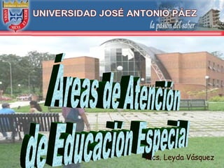 Áreas de Atención  de Educación Especial  Mcs. Leyda Vásquez 