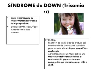 SÍNDROME de DOWN (Trisomia
21)
• Causa mas frecuente de
retraso mental identificable
de origen genético.
• 1 de cada 800 nacidos, y que
aumenta con la edad
materna.
ETIOLOGÍA
- En el 95% de casos, el SD se produce por
una trisomía del cromosoma 21 debido
generalmente a la no disyunción meiótica
en el óvulo.
- Aproximadamente un 4% se debe a una
traslocación robertsoniana entre el
cromosoma 21 y otro cromosoma
acrocéntrico que normalmente es el 14 o
el 22.
 