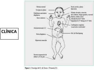 CLÍNICA
Obtenga más información en el Centro de introducción a
PowerPoint
 