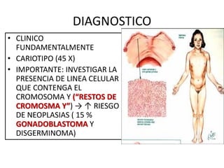 DIAGNOSTICO
• CLINICO
FUNDAMENTALMENTE
• CARIOTIPO (45 X)
• IMPORTANTE: INVESTIGAR LA
PRESENCIA DE LINEA CELULAR
QUE CONTENGA EL
CROMOSOMA Y (“RESTOS DE
CROMOSMA Y”) → ↑ RIESGO
DE NEOPLASIAS ( 15 %
GONADOBLASTOMA Y
DISGERMINOMA)
 