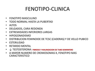 FENOTIPO-CLINICA
• FENOTIPO MASCULINO
• TODO NORMAL HASTA LA PUBERTAD
• ALTOS
• DELGADOS, CARA REDONDA
• EXTREMIDADES INFERIORES LARGAS
• HIPOGONADISMO
• DISTRIBUCION FEMINOIDE DE TCSC (CADERAS) Y DE VELLO PUBICO
• ESTERILIDAD
• RETARDO MENTAL
• ↓ TESTOSTERONA: FIBROSIS Y HIALINIZACION DE TUBO SEMINIFERO
• A MAYOR NUMERO DE CROMOSOMAS X, FENOTIPO MAS
CARACTERISTICO
 