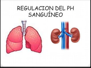 REGULACION DEL PH
SANGUÍNEO
 