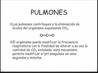 PULMONES
0 Los pulmones contribuyen a la eliminación de
ácidos del organismo expulsando CO2.
0 El organismo puede modificar la frecuencia
respiratoria con la finalidad de alterar a su vez la
cantidad de CO2 exhalado; este mecanismo
permite modificar el pH sanguíneo en unos
segundos o minutos.
 