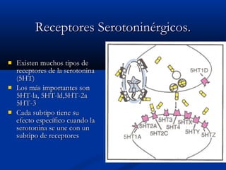 RReecceeppttoorreess SSeerroottoonniinnéérrggiiccooss.. 
 EExxiisstteenn mmuucchhooss ttiippooss ddee 
rreecceeppttoorreess ddee llaa sseerroottoonniinnaa 
((55HHTT)) 
 LLooss mmááss iimmppoorrttaanntteess ssoonn 
55HHTT--llaa,, 55HHTT--lldd,,55HHTT--22aa 
55HHTT--33 
 CCaaddaa ssuubbttiippoo ttiieennee ssuu 
eeffeeccttoo eessppeeccííffiiccoo ccuuaannddoo llaa 
sseerroottoonniinnaa ssee uunnee ccoonn uunn 
ssuubbttiippoo ddee rreecceeppttoorreess 
 