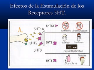 EEffeeccttooss ddee llaa EEssttiimmuullaacciióónn ddee llooss 
RReecceeppttoorreess 55HHTT.. 
 