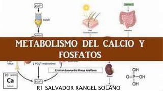 METABOLISMO Y TRASTORNOS
DEL CALCIO
R1 SALVADOR RANGEL SOLANO
 