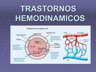 TRASTORNOS
HEMODINAMICOS
 