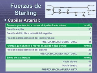 Fuerzas de
Starling
 Capilar Arterial:
Fuerzas que tienden a mover el liquido hacia afuera mmHg
Presión capilar 30
Presión del liq libre intersticial negativa 3
Presión coloidosmótica del liq intersticial 8
FUERZA HACIA FUERA TOTAL 41
Fuerzas que tienden a mover el liquido hacia dentro mmHg
Presión coloidosmotica del plasma 28
FUERZA HACIA DENTRO TOTAL 28
Suma de las fuerzas mmHg
Hacia afuera 41
Hacia dentro 28
FUERZA HACIA AFUERA NETA 13
 