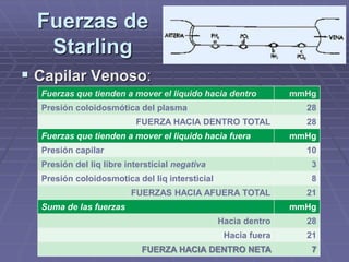  Capilar Venoso:
Fuerzas que tienden a mover el liquido hacia dentro mmHg
Presión coloidosmótica del plasma 28
FUERZA HACIA DENTRO TOTAL 28
Fuerzas que tienden a mover el liquido hacia fuera mmHg
Presión capilar 10
Presión del liq libre intersticial negativa 3
Presión coloidosmotica del liq intersticial 8
FUERZAS HACIA AFUERA TOTAL 21
Suma de las fuerzas mmHg
Hacia dentro 28
Hacia fuera 21
FUERZA HACIA DENTRO NETA 7
Fuerzas de
Starling
 