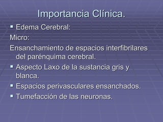 Importancia Clínica.
 Edema Cerebral:
Micro:
Ensanchamiento de espacios interfibrilares
del parénquima cerebral.
 Aspecto Laxo de la sustancia gris y
blanca.
 Espacios perivasculares ensanchados.
 Tumefacción de las neuronas.
 