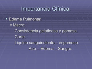Importancia Clínica.
 Edema Pulmonar:
 Macro:
Consistencia gelatinosa y gomosa.
Corte:
Liquido sanguinolento – espumoso.
Aire – Edema – Sangre.
 
