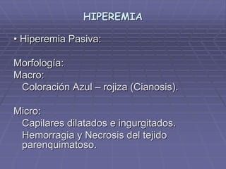 HIPEREMIA
• Hiperemia Pasiva:
Morfología:
Macro:
Coloración Azul – rojiza (Cianosis).
Micro:
Capilares dilatados e ingurgitados.
Hemorragia y Necrosis del tejido
parenquimatoso.
 