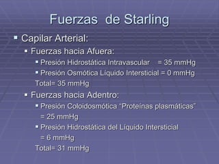 Fuerzas de Starling
 Capilar Arterial:
 Fuerzas hacia Afuera:
 Presión Hidrostática Intravascular = 35 mmHg
 Presión Osmótica Líquido Intersticial = 0 mmHg
Total= 35 mmHg
 Fuerzas hacia Adentro:
 Presión Coloidosmótica “Proteínas plasmáticas”
= 25 mmHg
 Presión Hidrostática del Líquido Intersticial
= 6 mmHg
Total= 31 mmHg
 